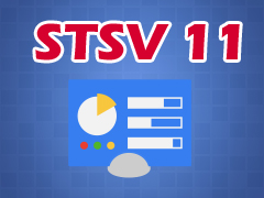  11 л STSV 11(Short Term Student Visa 11,  ESVV)