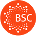 BSC (British Study Centre, London) ΰ
