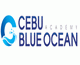    ī(Cebu Blue Ocean Academy) ΰ