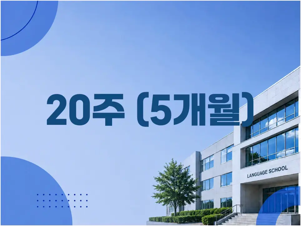 20주 600만원대 추천 학교
