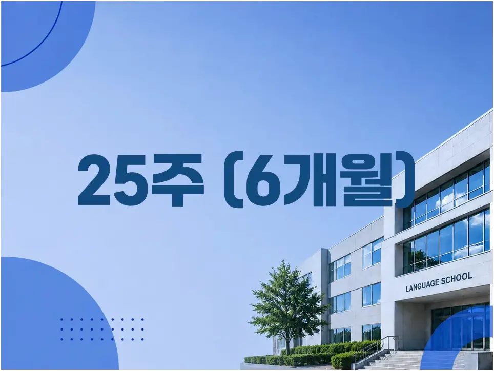 25주 500만원대 추천 학교